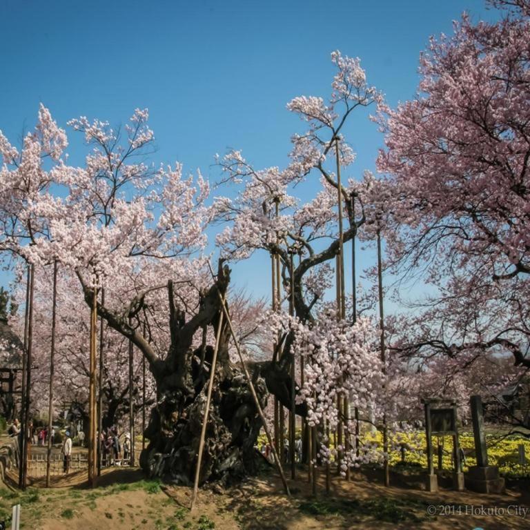 Izumigo Kiyosato Kogen Hotel Hokuto  Exterior foto